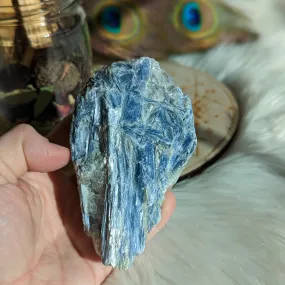 Hunky Blue Kyanite in Matrix