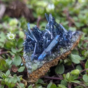 RARE Vivianite Cluster ~ Enlightened Compassion and Cellular Regeneration ~ Heart Chakra Earth and Water Elements