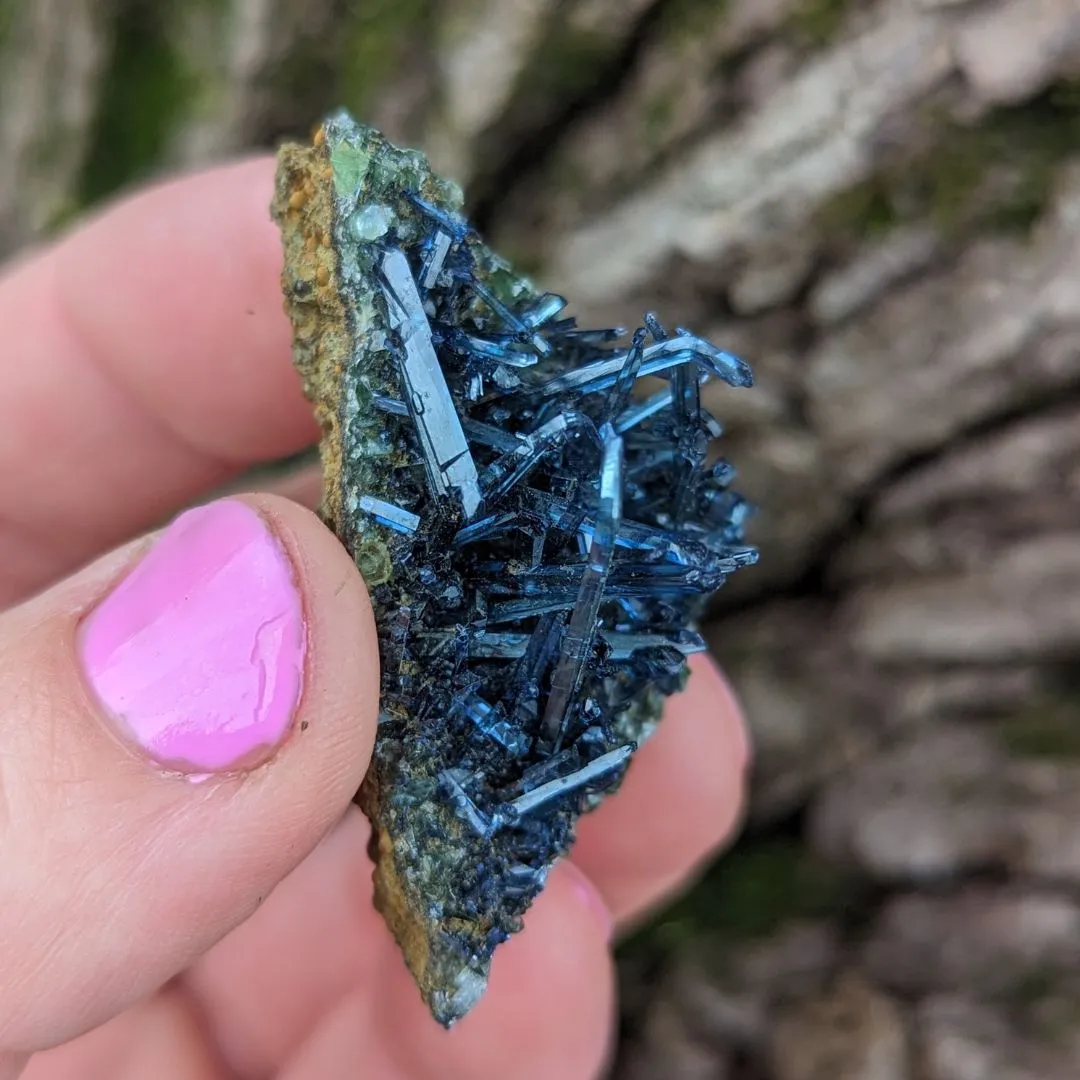 RARE Vivianite Cluster ~ Enlightened Compassion and Cellular Regeneration ~ Heart Chakra Earth and Water Elements