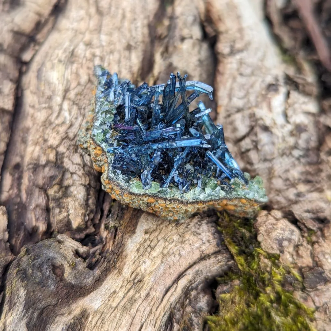 RARE Vivianite Cluster ~ Enlightened Compassion and Cellular Regeneration ~ Heart Chakra Earth and Water Elements