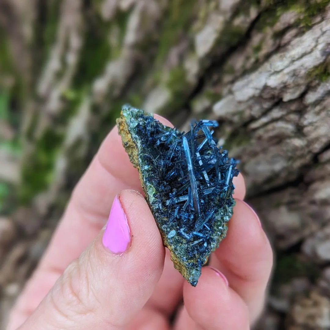 RARE Vivianite Cluster ~ Enlightened Compassion and Cellular Regeneration ~ Heart Chakra Earth and Water Elements