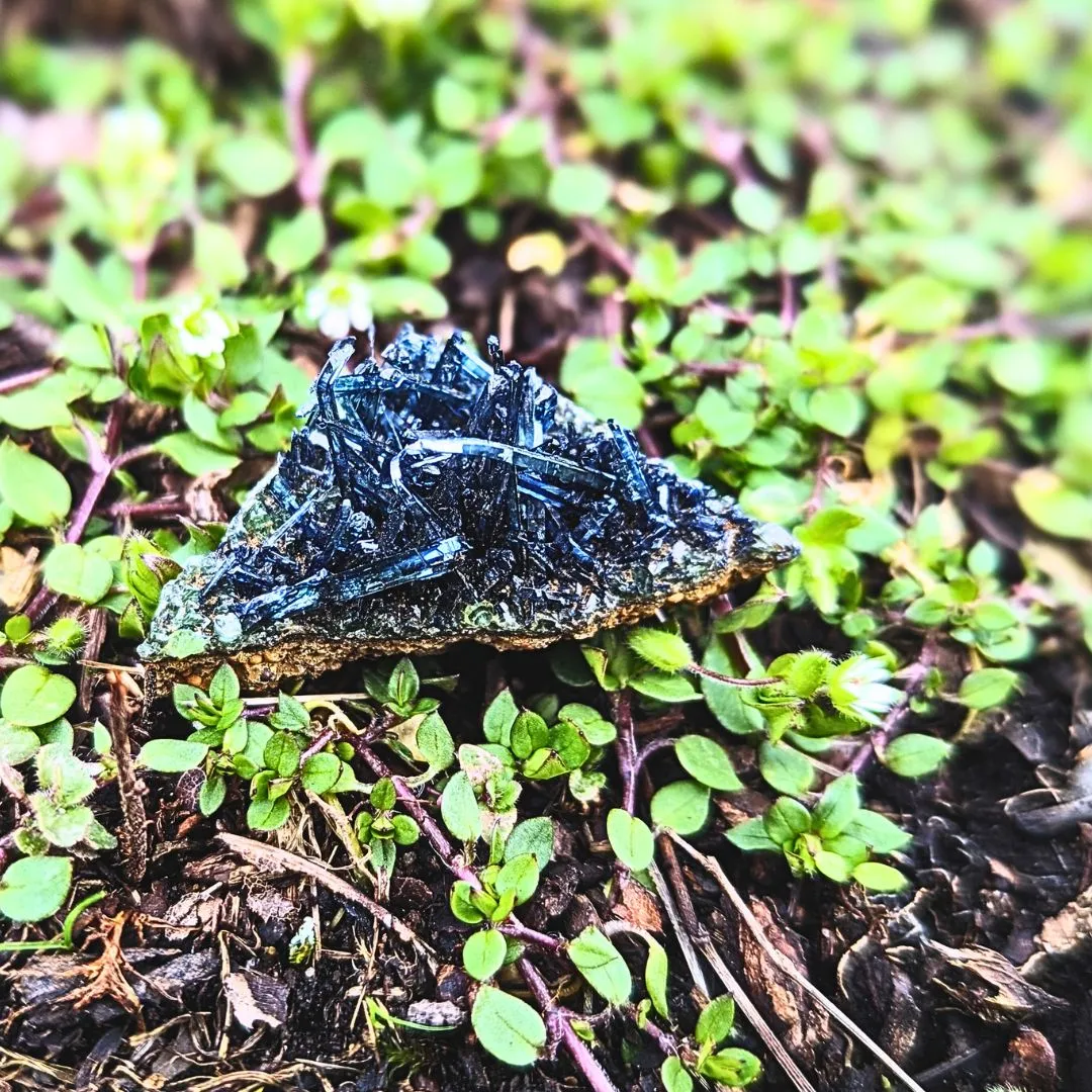 RARE Vivianite Cluster ~ Enlightened Compassion and Cellular Regeneration ~ Heart Chakra Earth and Water Elements